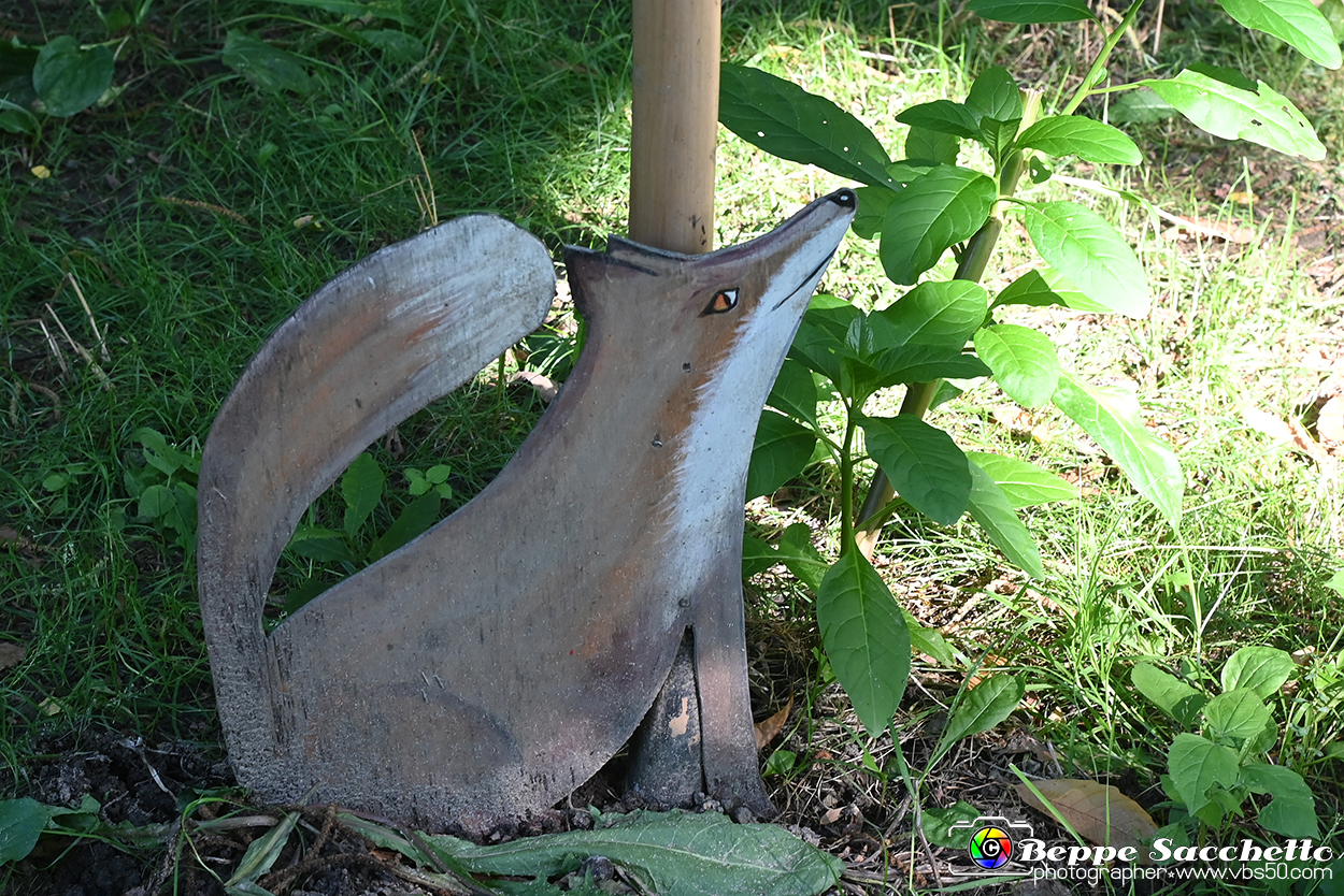 VBS_4817 - Il bosco fatato - Montaldo Roero.jpg